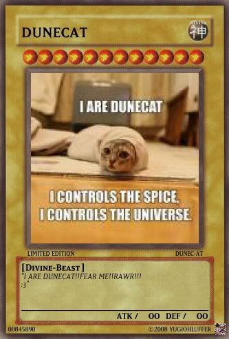 dunecat.jpg