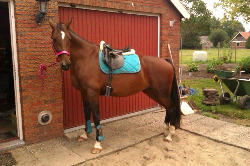 Afbeelding