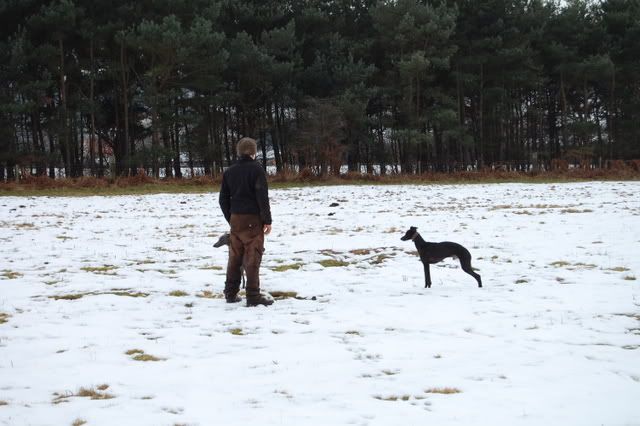 DSC_0419.jpg