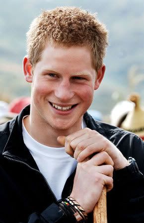 prince harry looks like. prince harry looks like