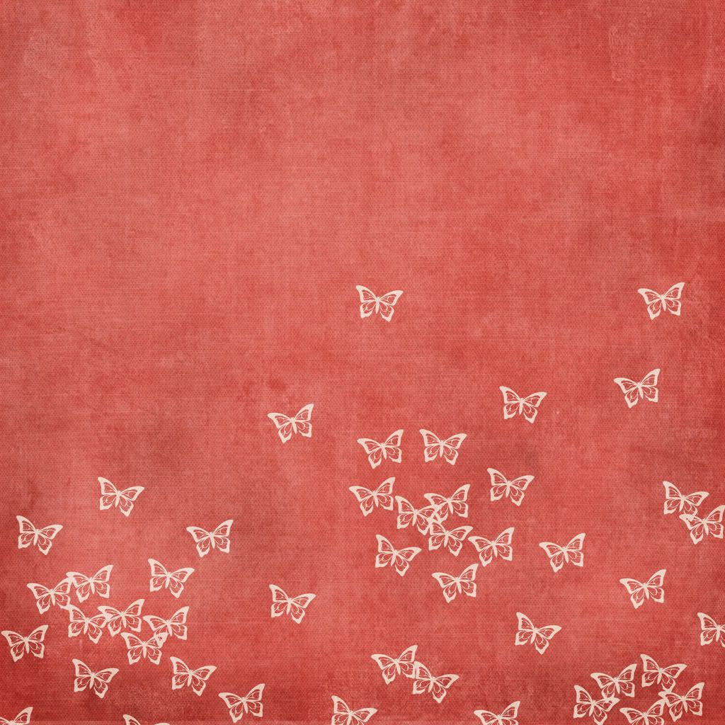 Essay on butterfly