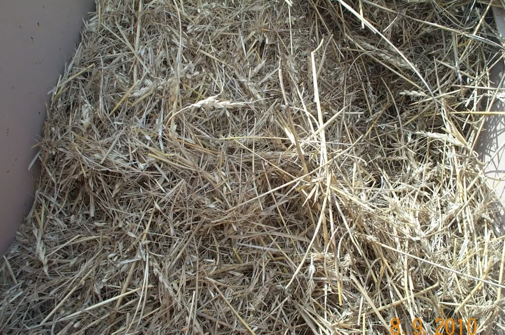 question on small plot small grain harvesting - Homesteading Questions