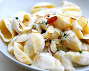 White Cheddar Pasta Shells, Fill your life with honest-to-goodness food. This shell shaped pasta features a lovely creamy white cheddar sauce and other natural flavors. Perfect as a side dish for a whole meal. http://www.nontoxic.mysundanceglobal.comhttp://www.nontoxic.mysundanceglobal.com/products.html