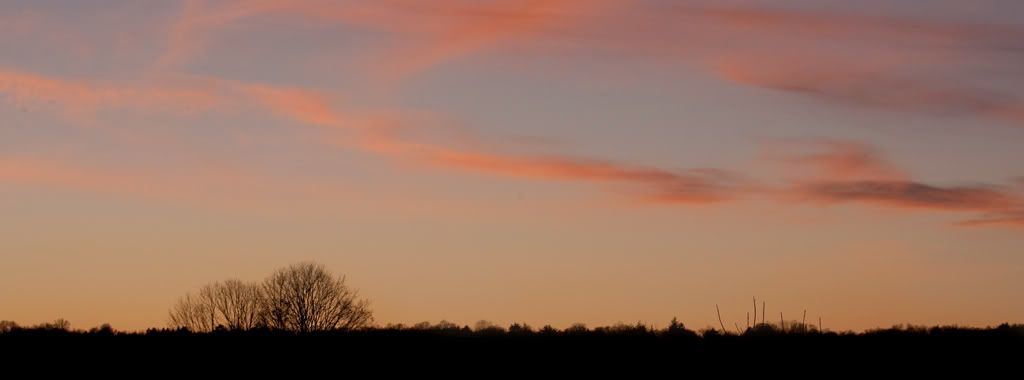 IMAGE: http://i303.photobucket.com/albums/nn125/reisset/3eazj0j0.jpg