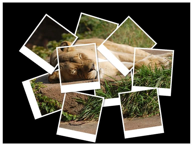 IMAGE: http://i303.photobucket.com/albums/nn125/reisset/6npr4gu0.jpg