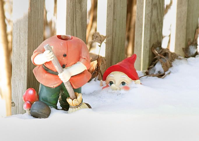 IMAGE: http://i303.photobucket.com/albums/nn125/reisset/c3hbnkw9.jpg