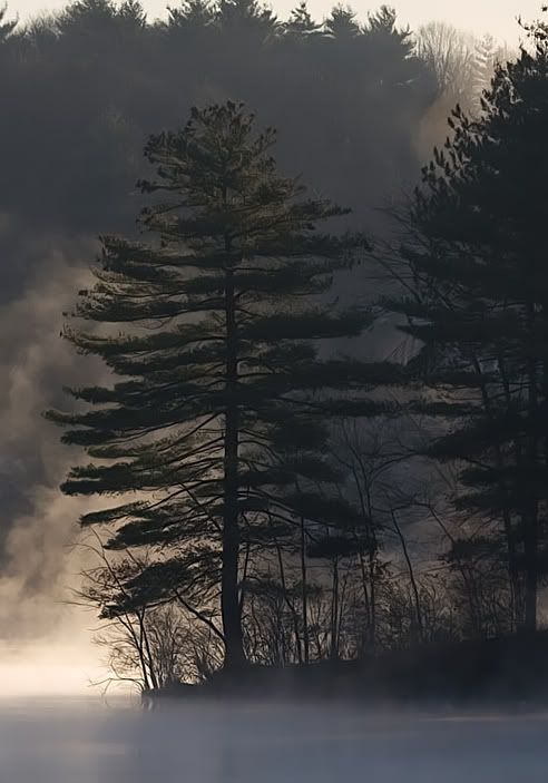 IMAGE: http://i303.photobucket.com/albums/nn125/reisset/lqk8ltqz.jpg