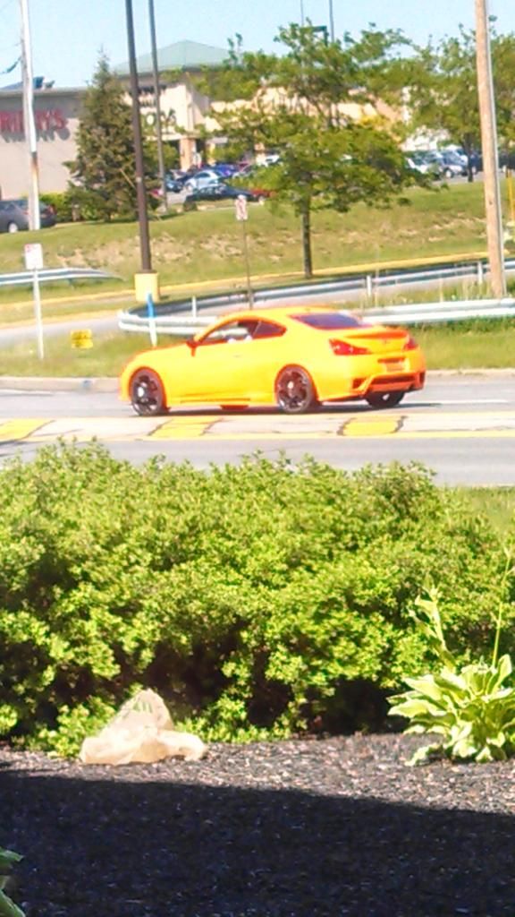 http://i303.photobucket.com/albums/nn125/samuraix154/IMG_20130526_155447_750_zpsf01df039.jpg