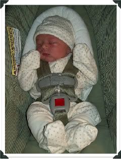 BABYBOYLUCIANO030308.jpg Baby Boy Luciano image by whbc-pix