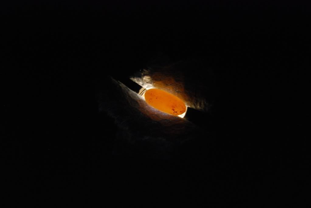 DSC_0158.jpg