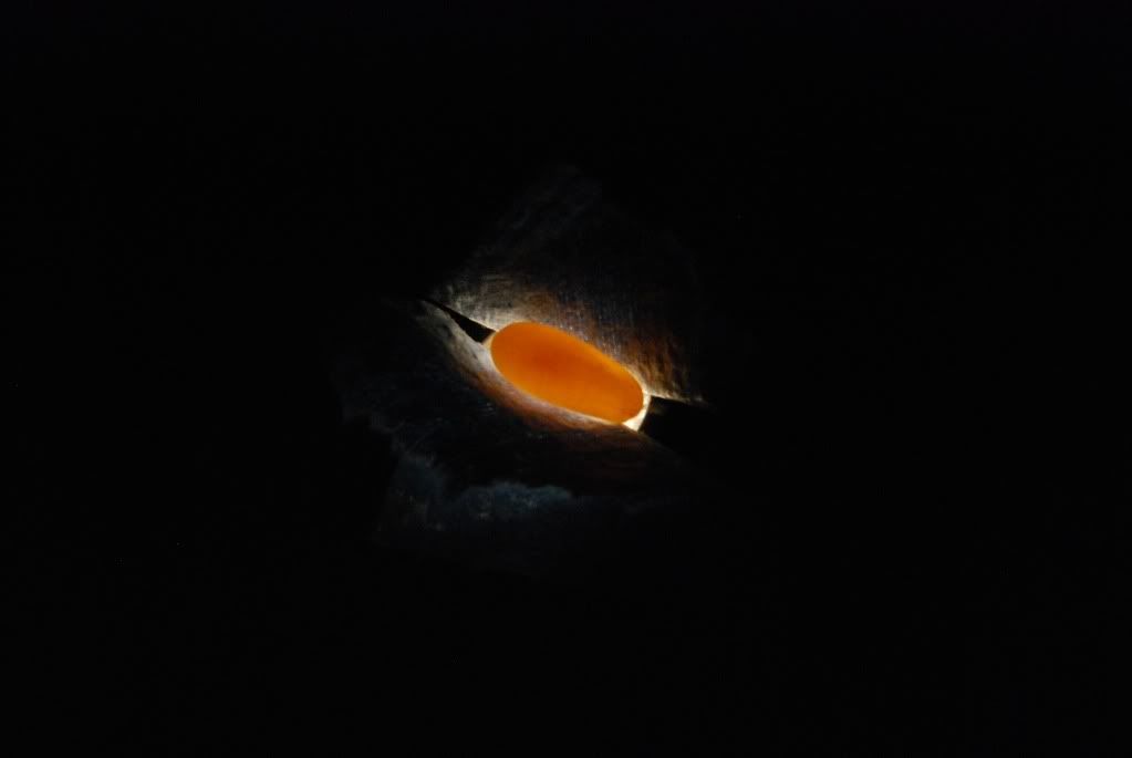 DSC_0159.jpg