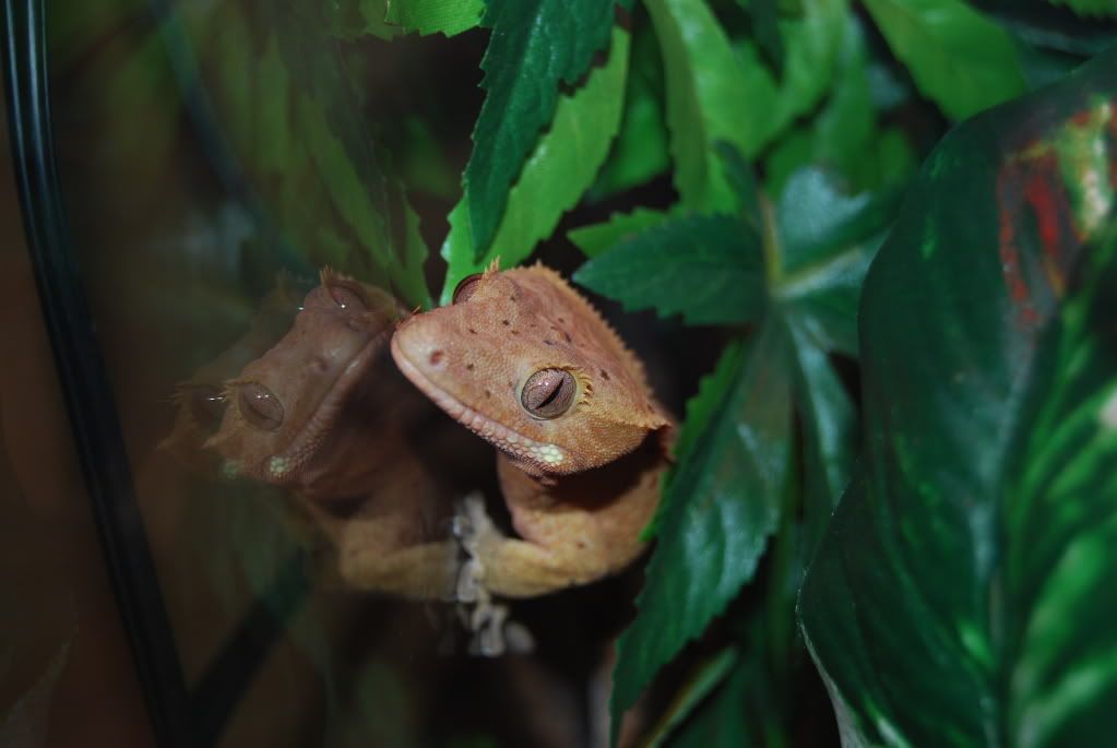 DSC_0237.jpg