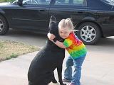 Image1.jpg With Dog image by first2comment