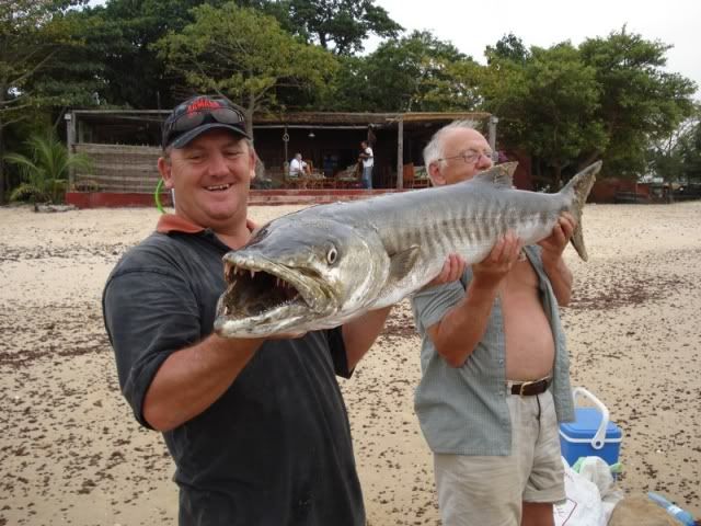 World+record+mekong+catfish