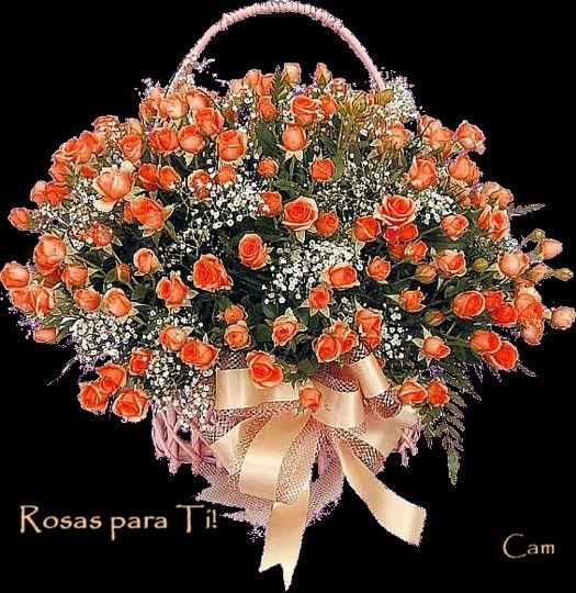 Cam-Rosas para Ti-Black-sp. Pictures, Images and Photos