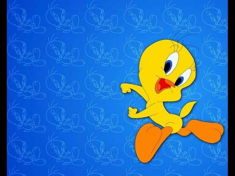 normal_tweety-04.jpg