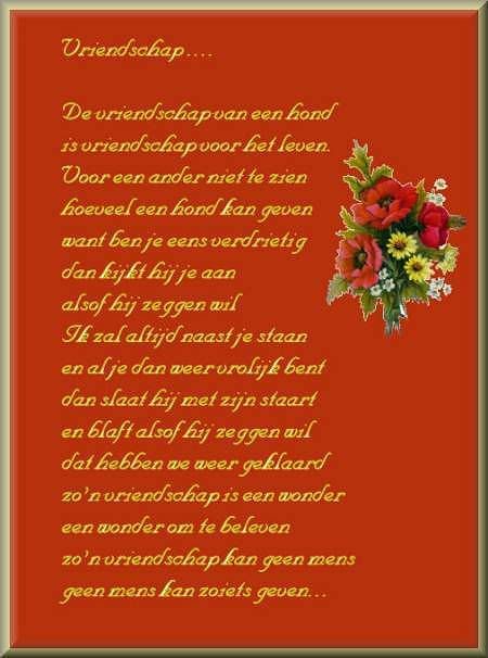 Vriendschap20van20een20hond_.jpg Vriendschap picture by sjefnox