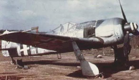 [Image: fw190a8.jpg]