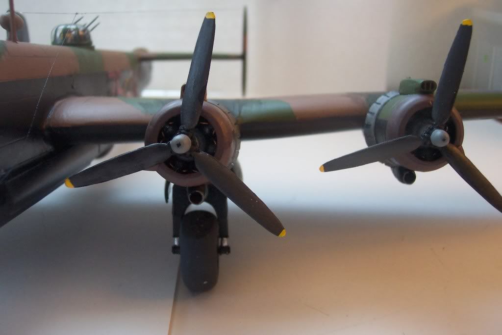 elite rc models halifax