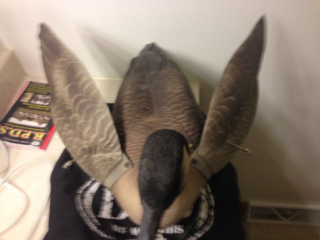 DSD Goose Flapper Decoy FS Duck Hunting Forum