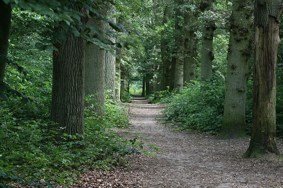 Fotografie