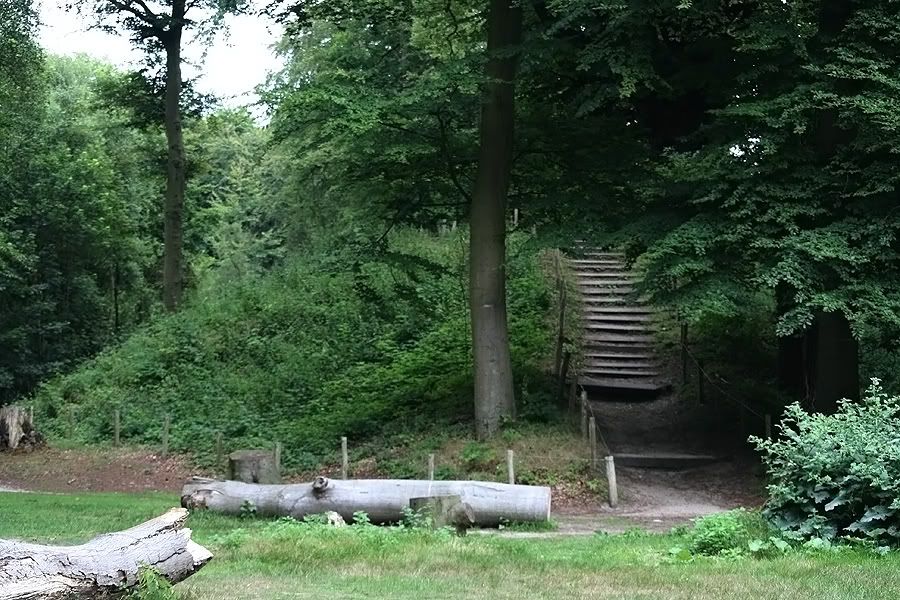 Fotografie