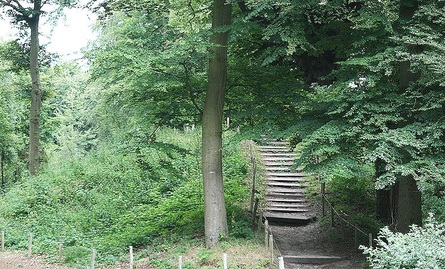 Fotografie