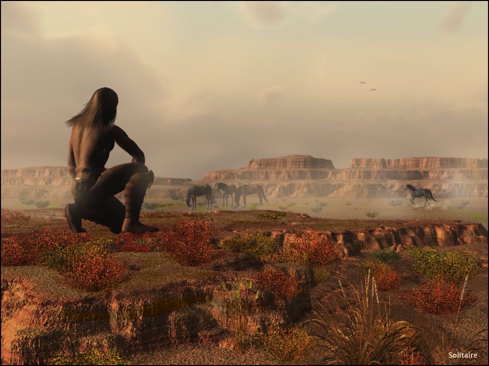 arizona.jpg