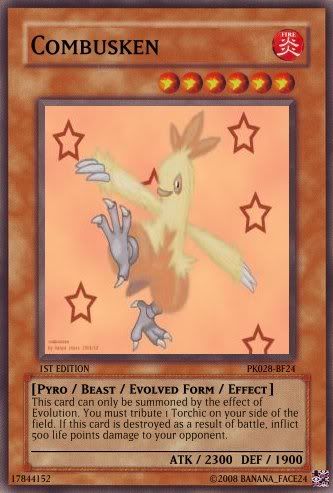 combusken.jpg