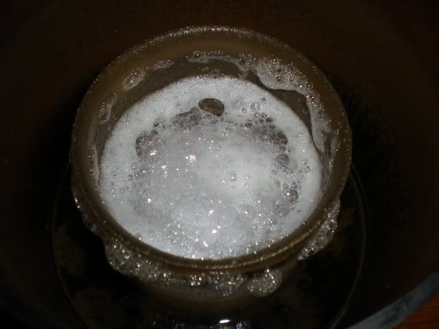 P7080163.jpg