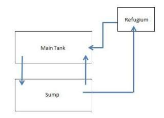 refugium2.jpg