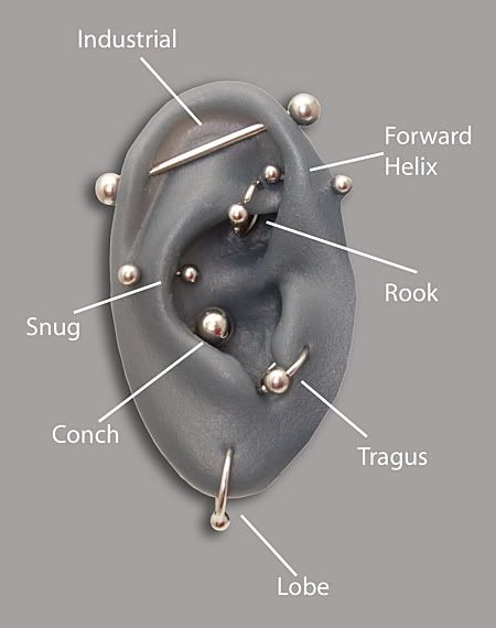 different-ear-piercings.jpg