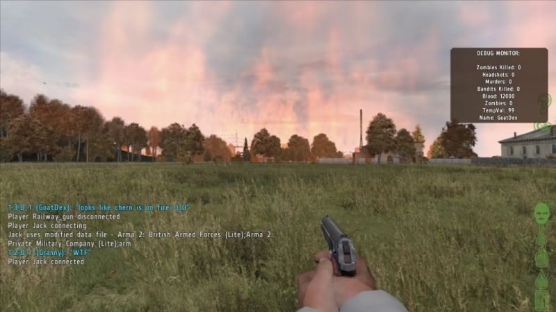 dayz1.jpg