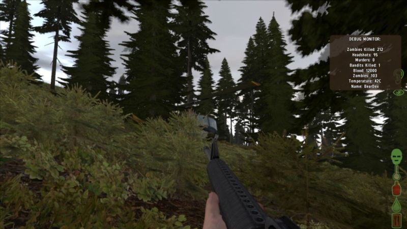 dayz4.jpg