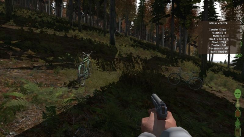 dayz6.jpg