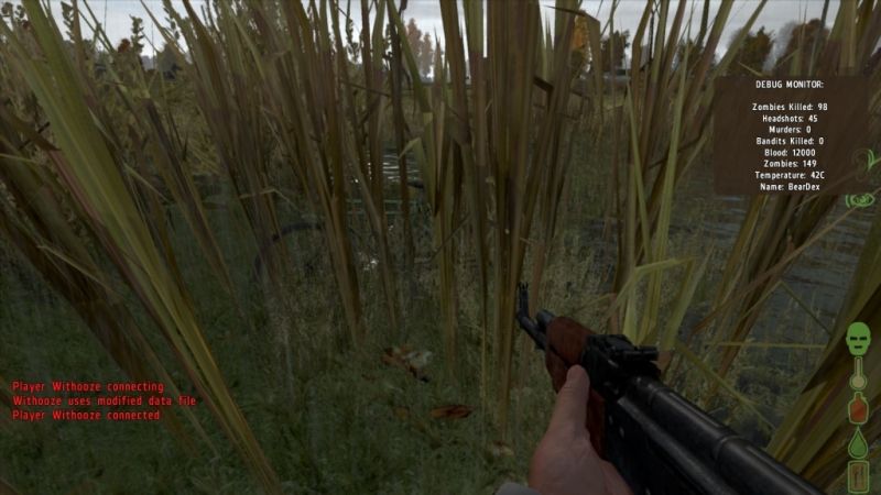 dayz8.jpg