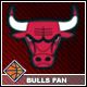 bulls_avi.jpg