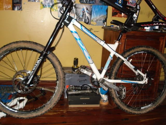 dual crown hardtail