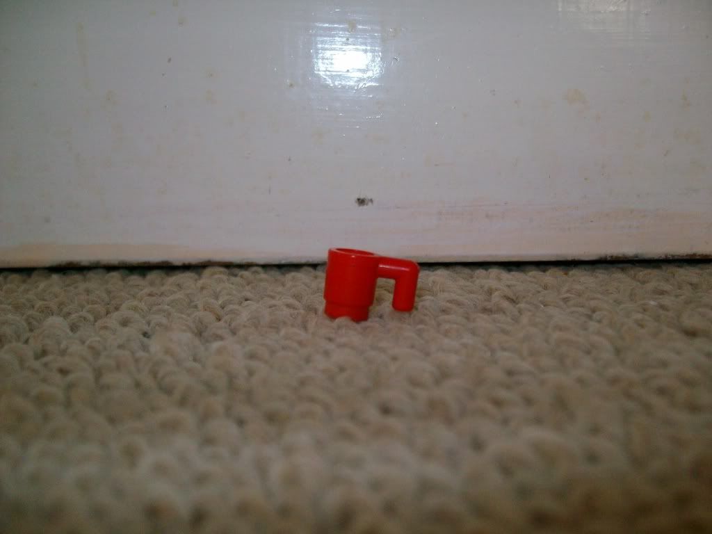 161.jpg