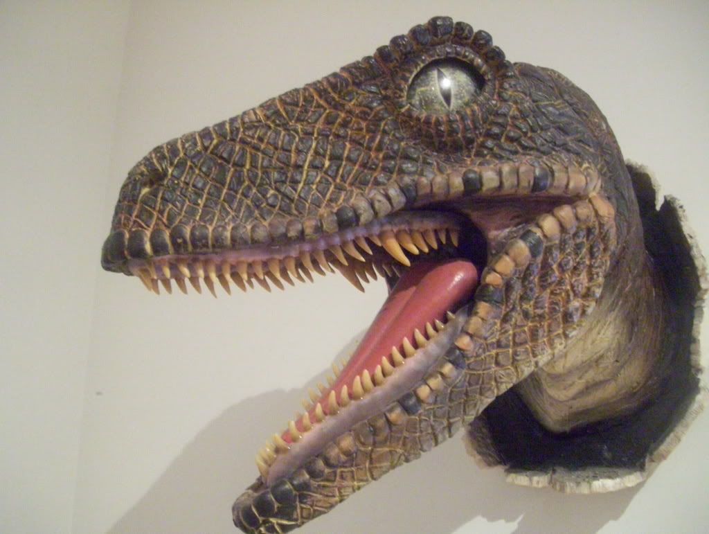 dinosaur head pictures