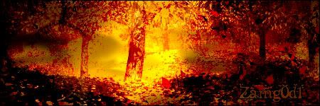 Autumn-Signature-voor-Battl.jpg