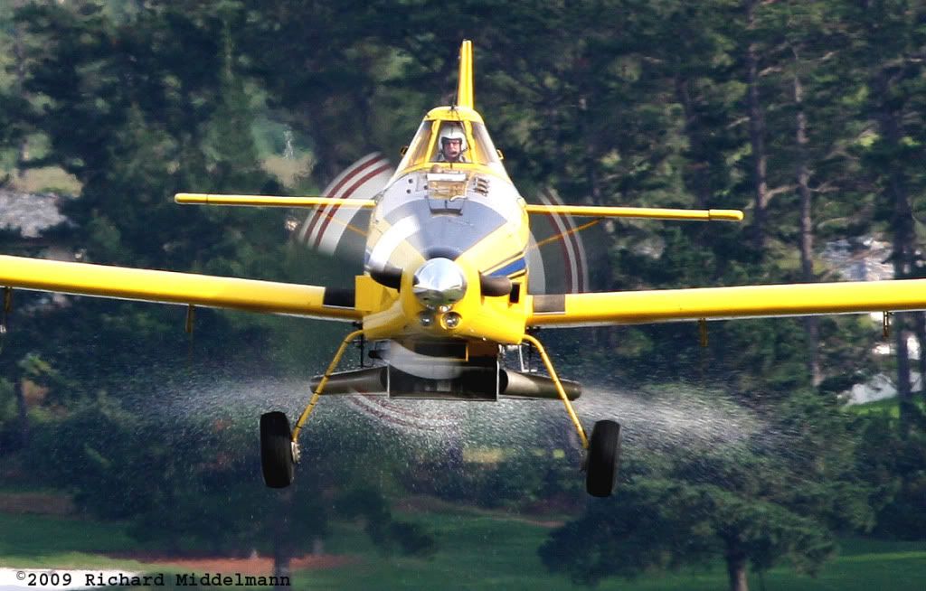 IMAGE: http://i303.photobucket.com/albums/nn144/ZS-RJM/aviation/ZS-PUN.jpg