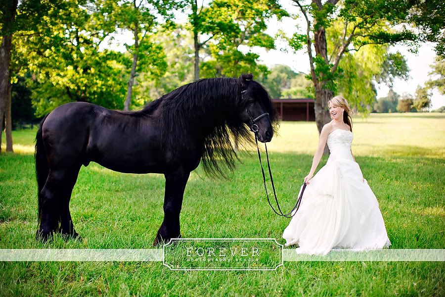 Bride On Horse