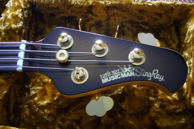 Stingray003.jpg