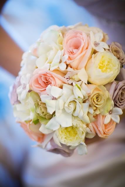 cymbidium orchids, and