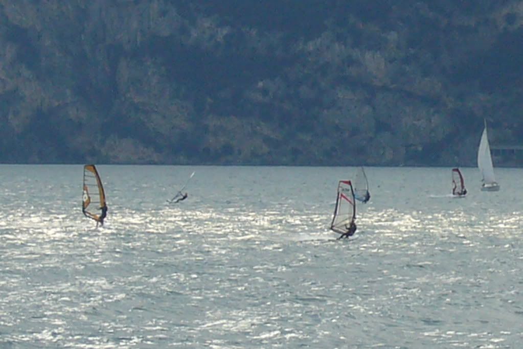 P1050164.jpg