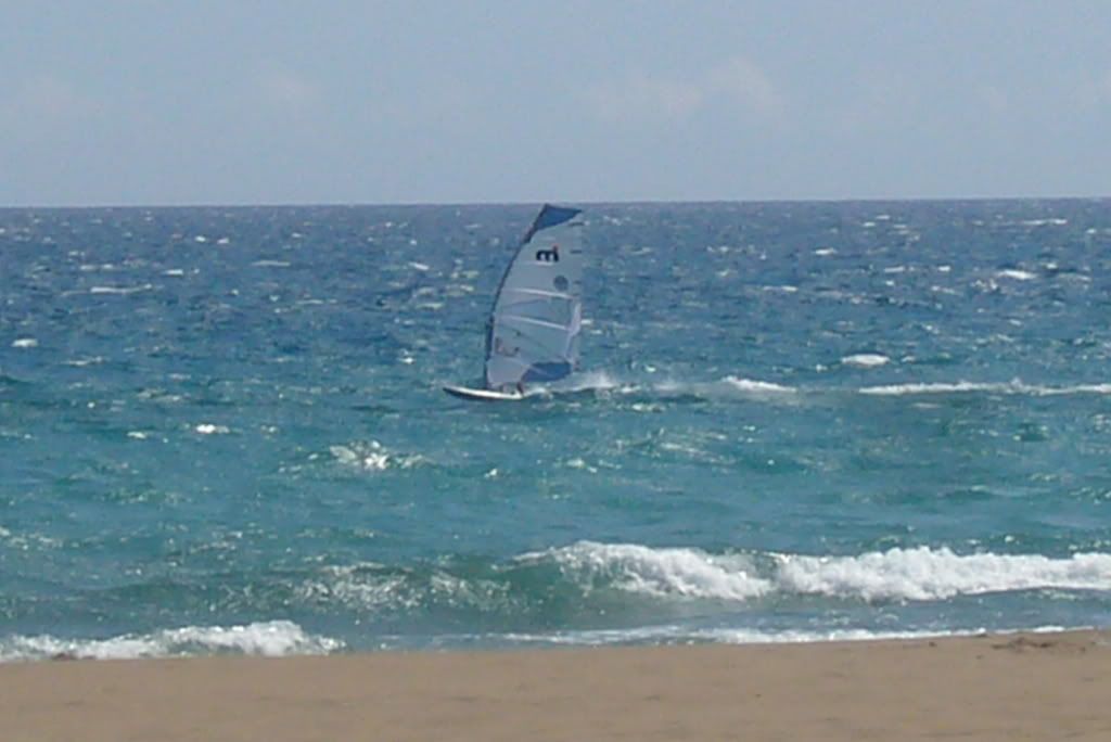 P1100791.jpg