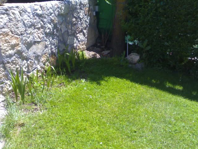 ElEstanque.com - Ver Tema - estanque para dos tortugas