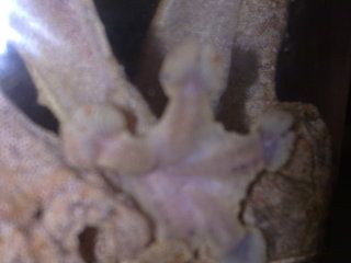 04042012064.jpg