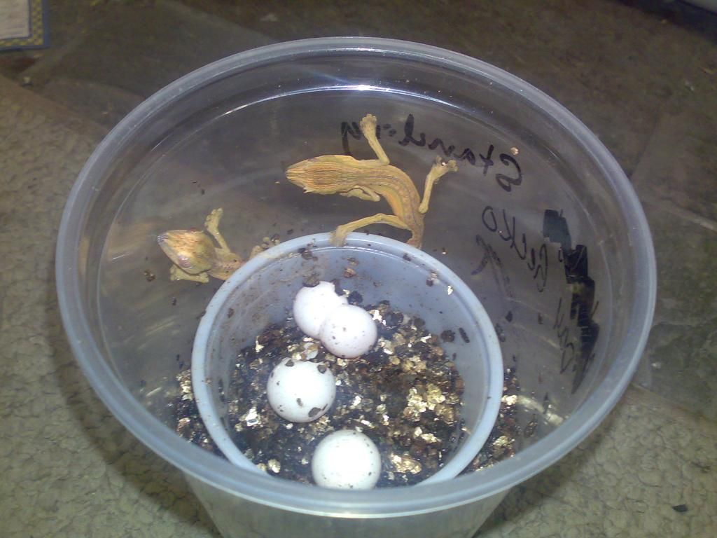 11032012349.jpg